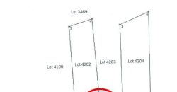 Foreclosed Agricultural Lot in Bula, Camarines Sur · Lot 4204 (PDIC)