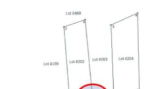 Foreclosed Agricultural Lot in Bula, Camarines Sur · Lot 4204 (PDIC)