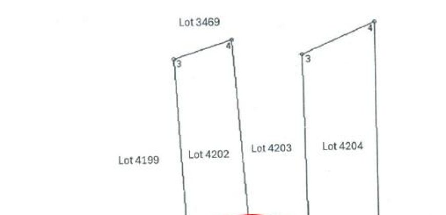 Foreclosed Agricultural Lot in Bula, Camarines Sur · Lot 4204 (PDIC)