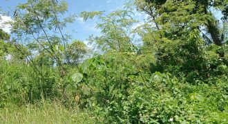 Foreclosed Residential Lot in San Carlos City