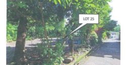 Foreclosed Residential Lot in City Of Tabaco, Albay – Happy Homes Subdivision · Lot 25 Block 9 (PDIC)