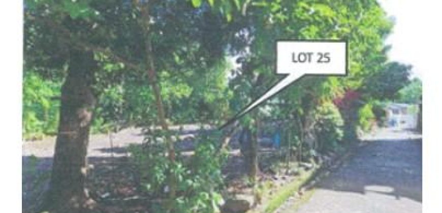 Foreclosed Residential Lot in City Of Tabaco, Albay – Happy Homes Subdivision · Lot 25 Block 9 (PDIC)