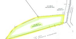 Foreclosed Agricultural Lot in Sta. Maria (Imelda), Romblon · Lot No. 265-A (PDIC)