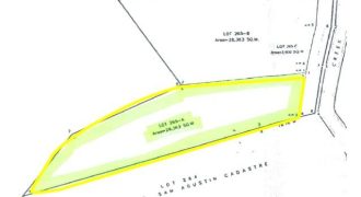 Foreclosed Agricultural Lot in Sta. Maria (Imelda), Romblon · Lot No. 265-A (PDIC)