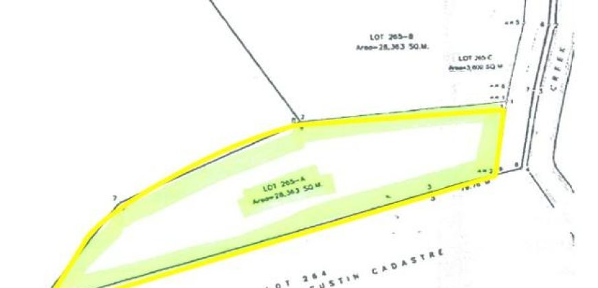 Foreclosed Agricultural Lot in Sta. Maria (Imelda), Romblon · Lot No. 265-A (PDIC)
