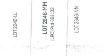 Foreclosed Property in Pagsanjan, Laguna