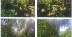 Foreclosed Residential Lot in Batangas · Lot 102 (PDIC)