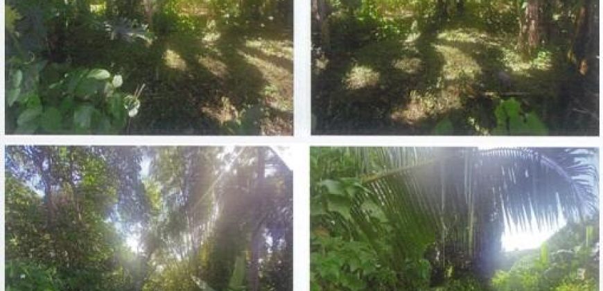 Foreclosed Residential Lot in Batangas · Lot 102 (PDIC)