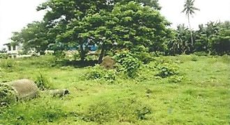 Foreclosed Residential Lot in Pila, Laguna (Philippine Veterans Bank)