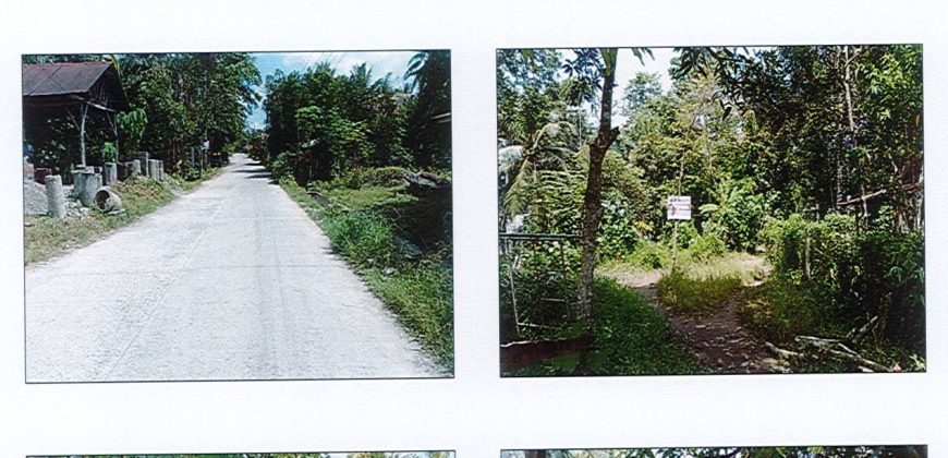 Foreclosed Residential Lot in Tagum, Davao del Norte · Blk 1 (Philippine Veterans Bank) #2