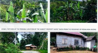 Foreclosed Agricultural Lot in Libacao, Aklan (PDIC)