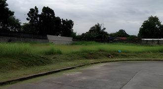 Foreclosed Residential Lot in Biñan City