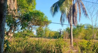 Foreclosed Residential Lot in Minalabac, Camarines Sur