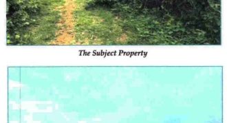 Foreclosed Agricultural Lot in Bolinao, Pangasinan