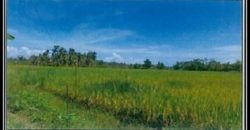 Foreclosed Agricultural Lot in Ayungon, Negros Oriental (PDIC)