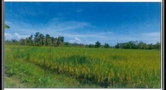 Foreclosed Agricultural Lot in Ayungon, Negros Oriental (PDIC)