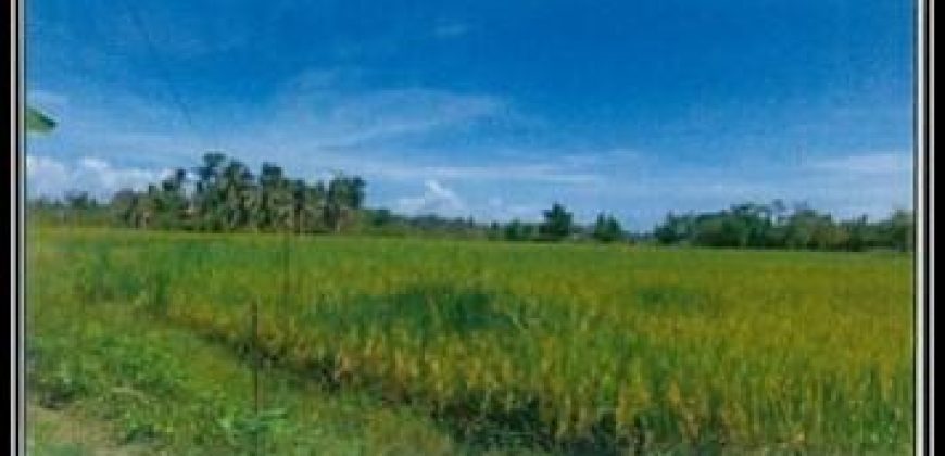 Foreclosed Agricultural Lot in Ayungon, Negros Oriental (PDIC)