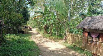 Foreclosed House and Lot in Dumalag, Capiz