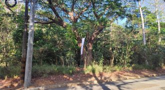 Foreclosed Residential Lot in Antipolo City, Rizal – Valley Golf Subd. (Metrobank)