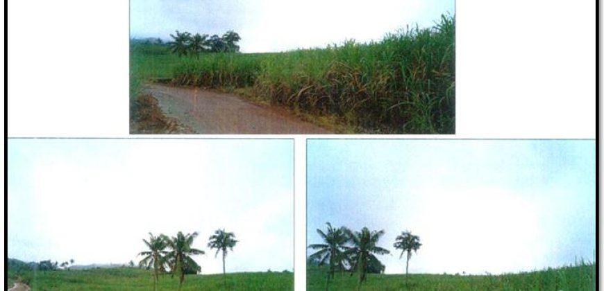 Foreclosed Agricultural Lot in Amlan, Negros Oriental, Visayas