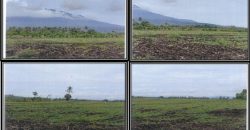 Foreclosed Property in Pili, Camarines Sur (PDIC)