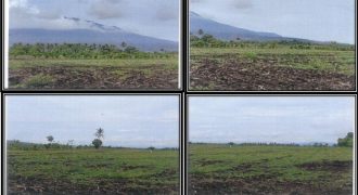 Foreclosed Property in Pili, Camarines Sur · Lot No. 2698-N (PDIC)