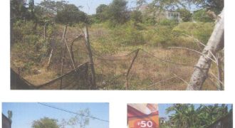Foreclosed Property in Mangaldan, Pangasinan (PDIC)