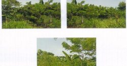 Foreclosed Residential Lot in Limay, Bataan