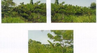 Foreclosed Residential Lot in Limay, Bataan (PDIC)