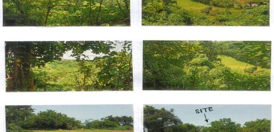 Foreclosed Residential Lot in Limay, Bataan · Lot No. 52 Blk. 3 (PDIC)