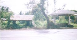 Foreclosed Residential Lot in Cabanatuan City