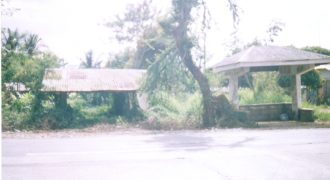 Foreclosed Residential Lot in Cabanatuan City