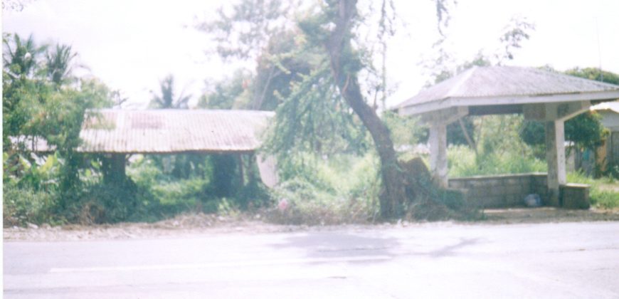 Foreclosed Residential Lot in Cabanatuan City
