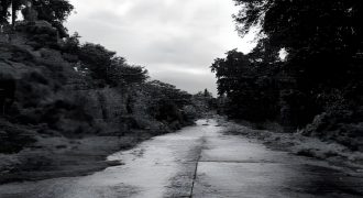 Foreclosed Residential Lot in Laurel, Batangas