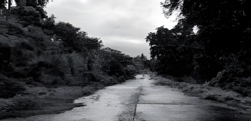 Foreclosed Residential Lot in Laurel, Batangas