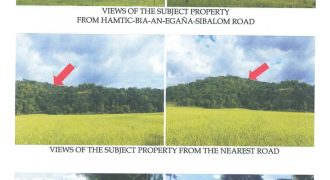 Foreclosed Agricultural Lot in Hamtic, Antique (Philippine Veterans Bank)