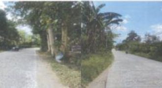 Foreclosed Residential Lot in Tiaong, Quezon · Lot No. 4592-E (PDIC)