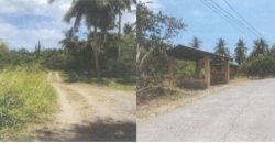 Foreclosed Agricultural Lot in Tiaong, Quezon (PDIC)