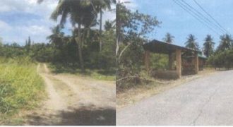 Foreclosed Agricultural Lot in Tiaong, Quezon (PDIC)