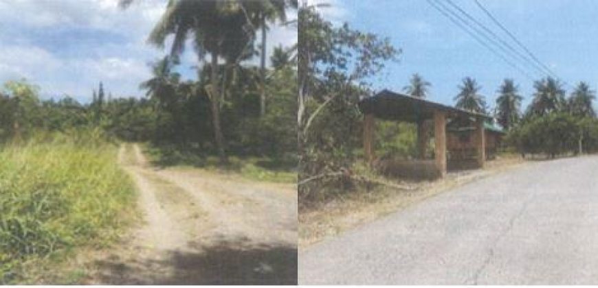 Foreclosed Agricultural Lot in Tiaong, Quezon (PDIC)