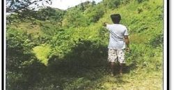Foreclosed Agricultural Lot in Mabinay, Negros Oriental (PDIC)