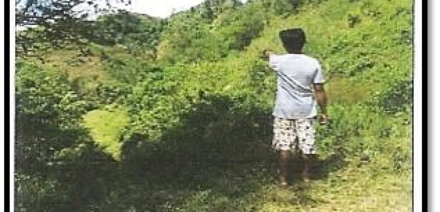Foreclosed Agricultural Lot in Mabinay, Negros Oriental (PDIC)