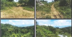 Foreclosed Property in Mabinay, Negros Oriental (PDIC)