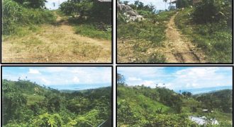 Foreclosed Property in Mabinay, Negros Oriental (PDIC)