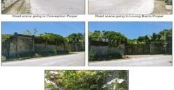 Foreclosed Property in Concepcion, Iloilo – Puntales Road (PDIC)
