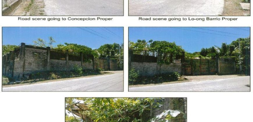 Foreclosed Property in Concepcion, Iloilo – Puntales Road (PDIC)