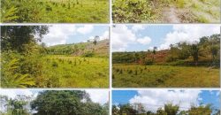 Foreclosed Property in Lemery, Iloilo (PDIC)