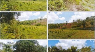 Foreclosed Property in Lemery, Iloilo (PDIC)