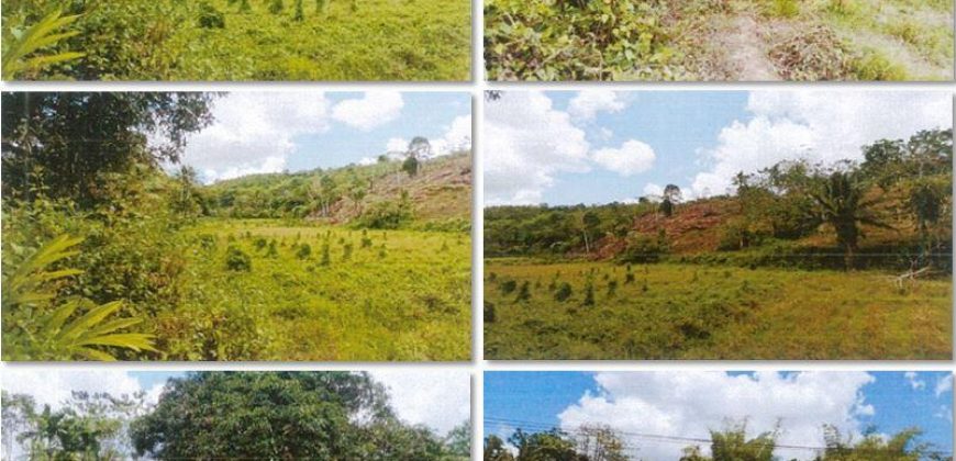 Foreclosed Property in Lemery, Iloilo (PDIC)