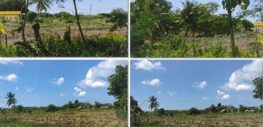Foreclosed Agricultural Lot in Barotac Nuevo, Iloilo (PDIC)